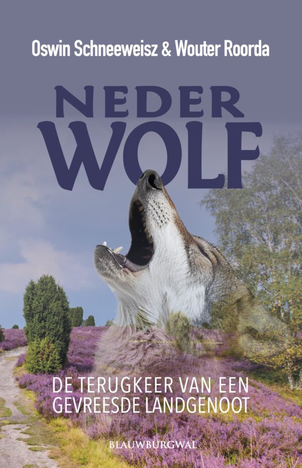 Nederwolf